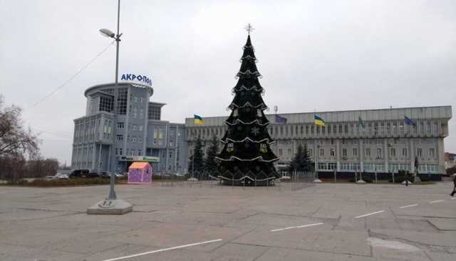 Чиновники купили елку на Prozorro за 1,5 млн