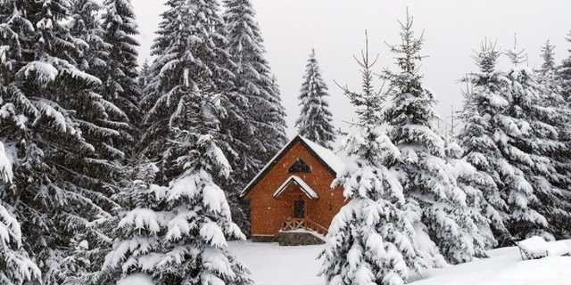 Новогодняя афера: в Карпатах сдают несуществующие домики на праздники