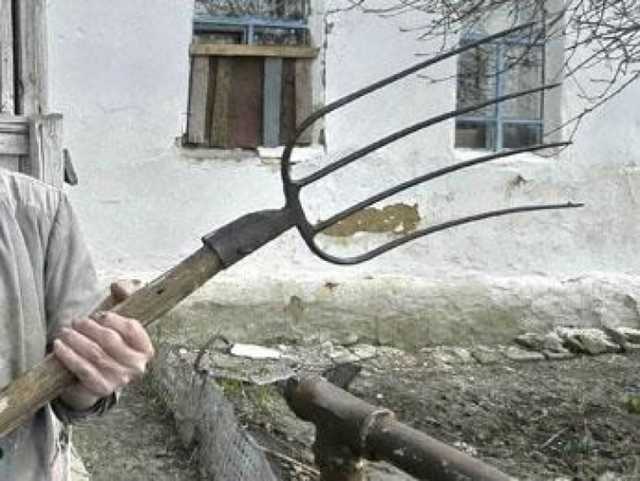 С вилами и бревном селянка прогоняла полицейских с поля на Ровенщине