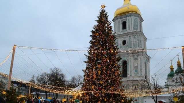 Главную ёлку страны привезут в Киев в воскресенье