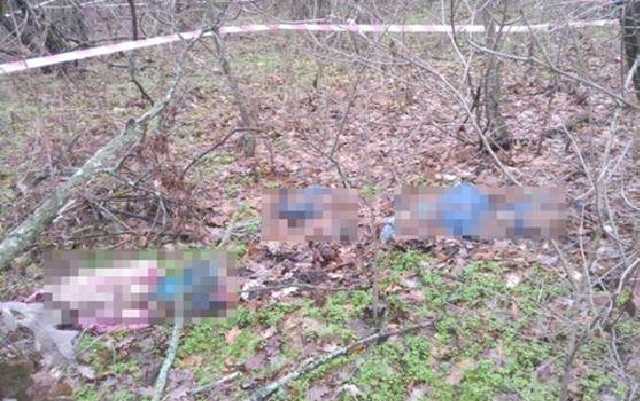 Чудовищное преступление на Одесчине: в лесу нашли скелеты матери и маленьких детей