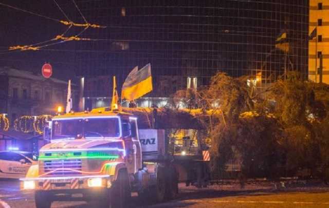 Головна ялинка прибула на Софійську площу