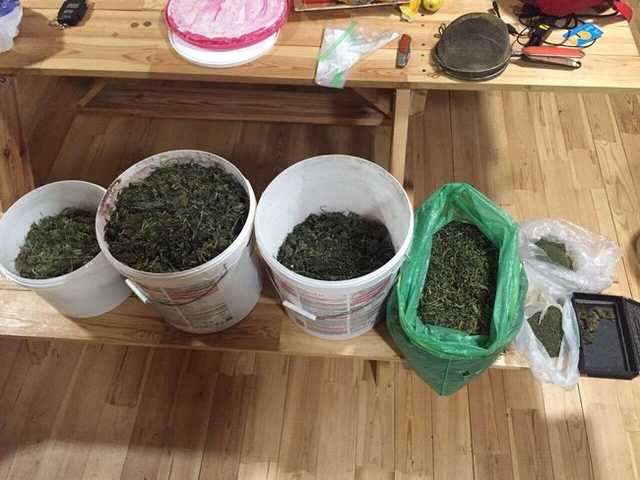 Столичная прокуратура задержала группу наркоторговцев, поставлявшую кокаин в Европу