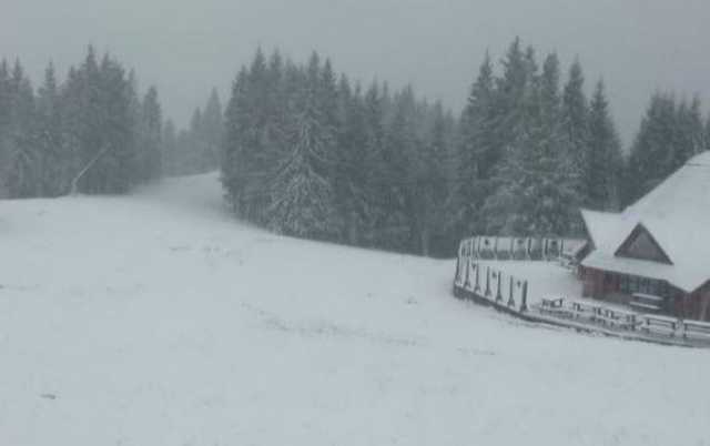 Из-за непогоды без света - 84 населенных пункта на Львовщине и Закарпатье