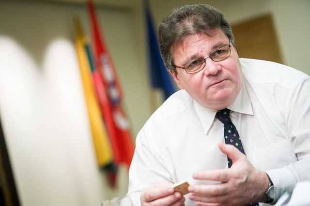 Глава МИД Литвы: Политическая верхушка Украины большая угроза для государства чем войска России