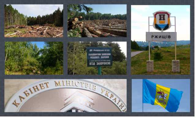 Новая стратегия развития лесхозов грозит Киевщине ростом безработицы и опустошением бюджетов