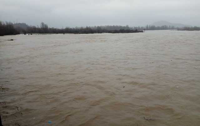 Масштабное наводнение на Закарпатье: появились новые фото, видео и подробности