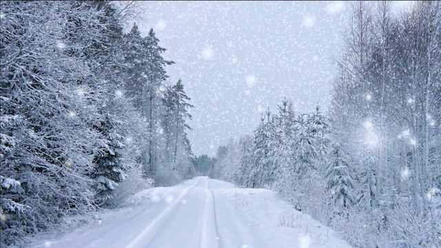 Въезд в Киев заблокирован застрявшими фурами