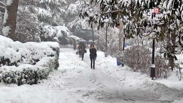 Снежный армагеддон: главу Киевщины призвали уйти в отставку