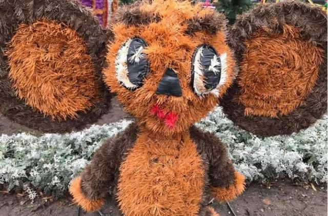 Полтавчане жалуются на волосатого Чебурашку