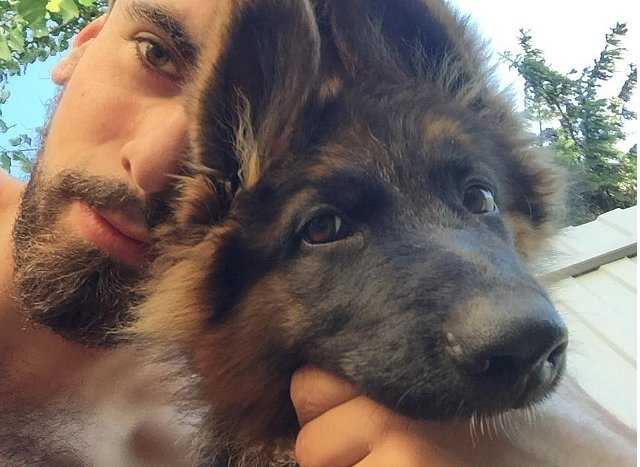 Награда 50 000 грн.: в Киеве разыскивается собака