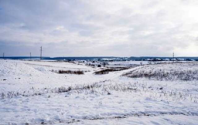 Bloomberg: Мораторий на продажу земли душит экономику Украины