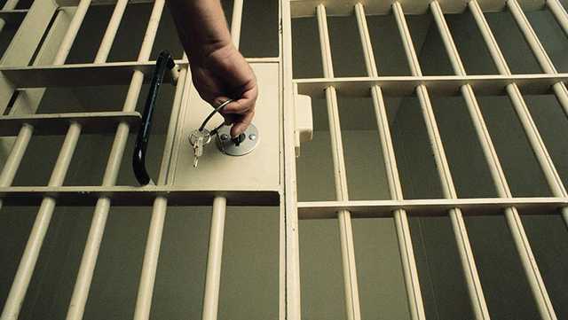 В Украине за год амнистировали 532 преступника