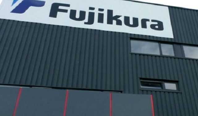 Украинские гайдзины Fujikura