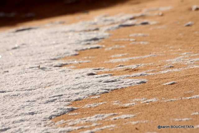 В пустыне Сахара выпал снег: опубликовано фото