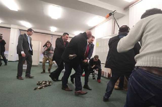 Femen показали свои прелести чеху Земану