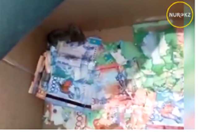 В Казахстане мыши погрызли деньги в банкомате: опубликовано видео