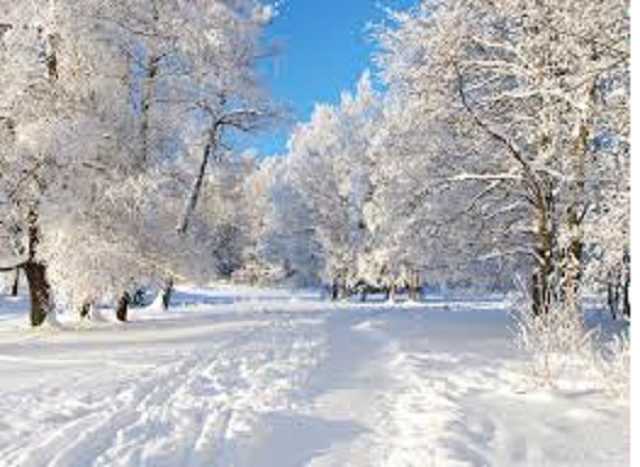 В Украине обесточены 294 населенных пункта: ожидаются новые снегопады