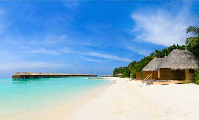 Нардеп Грановский заявил, что критика Порошенко за поездку на Мальдивы неэтична