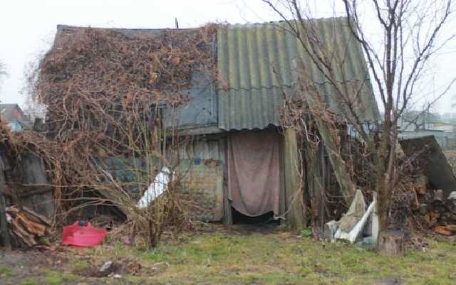 Спортсменка являющаяся гордостью Украины ютится в полуразрушенной хибаре в Сумской области