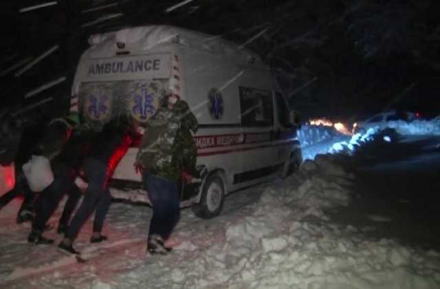 Друзья лишь наблюдали: в дендропарке Умани в страшных муках умер ребенок