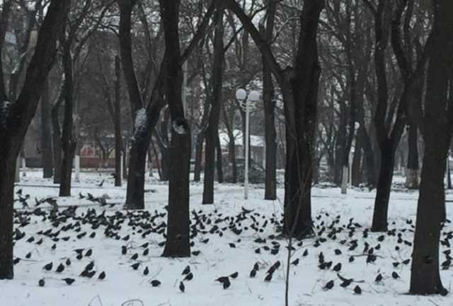 На Одесщине зафиксировали аномальное явление: поразительные фото