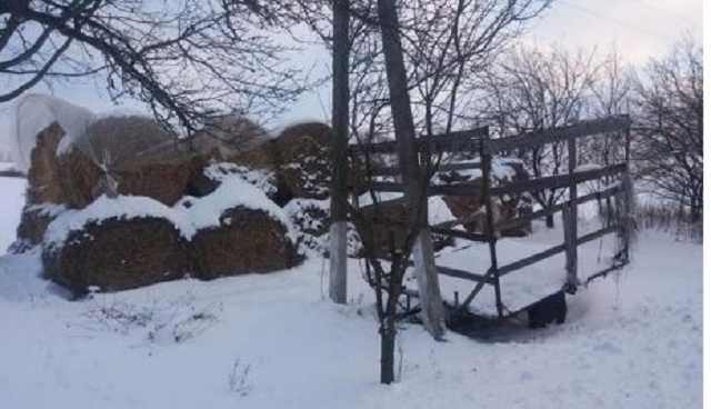 На Харьковщине мать бросила на улице двухмесячного младенца