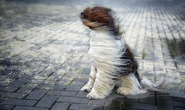 В Киеве объявили штормовое предупреждение