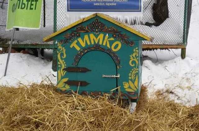 Харьковский сурок Тимка предсказал раннюю весну