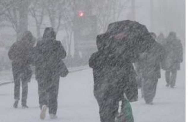 Во Львовской области прошел сильный снегопад: без электричества остались 229 населенных пунктов