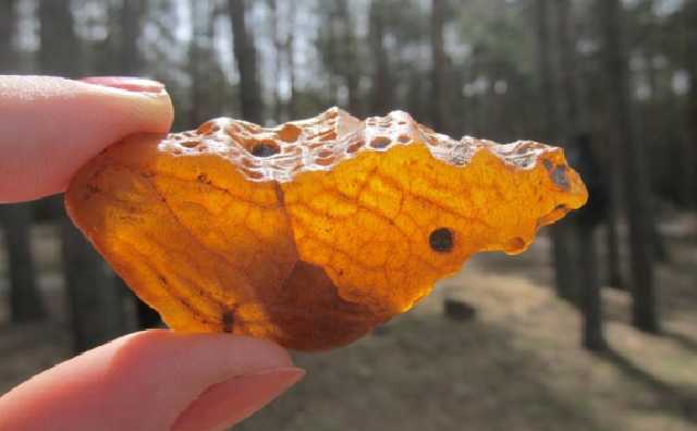 ГПУ «отдала» янтарные месторождения бизнес-партнеру главы Волынской ОГА