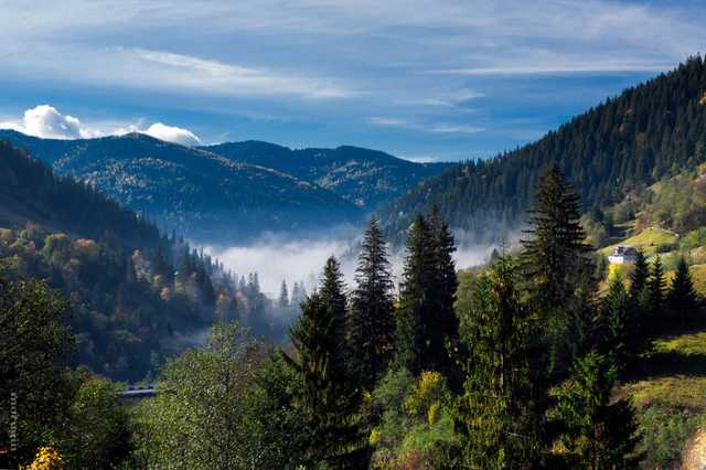 Известная украинская волонтер едва не погибла, сорвавшись с горы в Карпатах