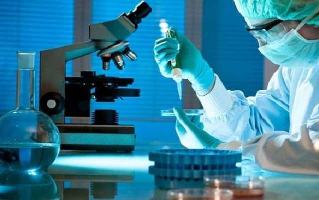 Британские ученые впервые вырастили человеческую яйцеклетку в лаборатории