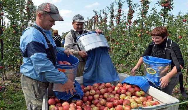 В Польше вступили в силу новые правила трудоустройства: что изменится для украинцев