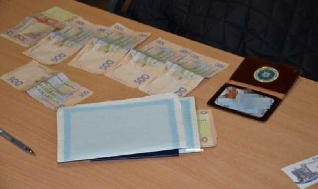 Чиновница миграционной службы поймана на взятках за 5 загранпаспортов