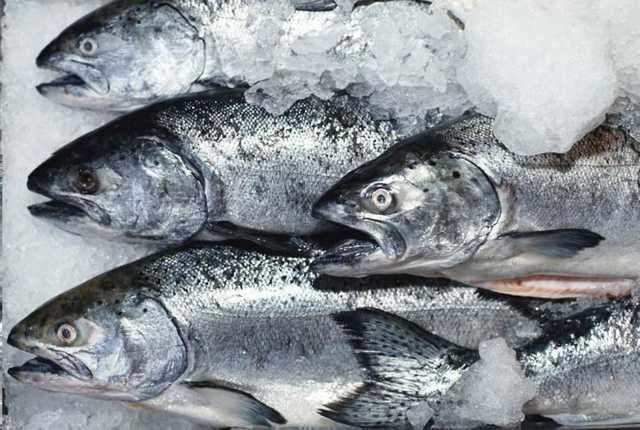 В киевские детсады поступит рыба от Лысого