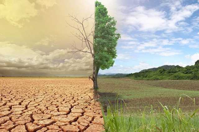 Исчезнет Полесье: Украине предрекли температурный коллапс