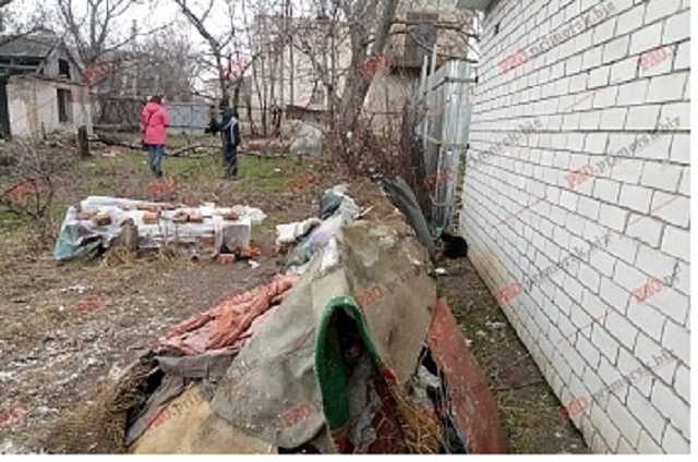 На запорожском курорте подростки зверски растерзали животных