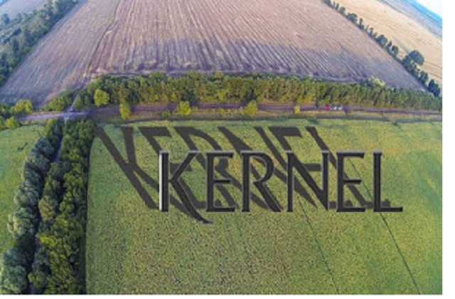 Махинации компании «Кернел Групп» Веревского и Хомутынника грозят Украине международным скандалом