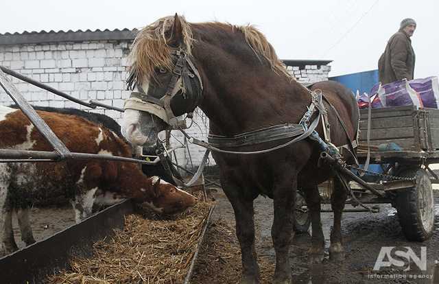 Из 6,3 млрд гривен для аграриев половина уйдет на "откаты" чиновникам – эксперт