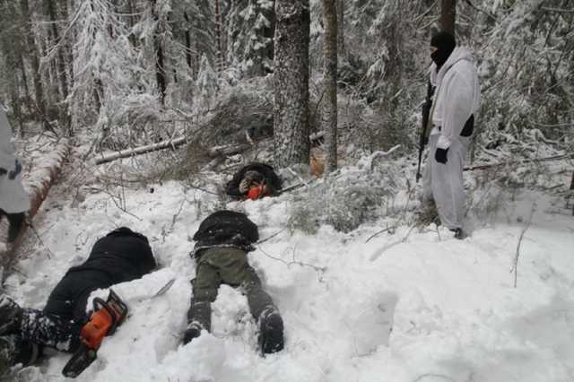 “Черные лесорубы” вступили в ночной бой с полицией и СБУ на Житомирщине