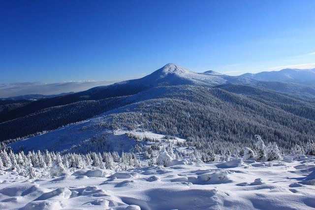 В Карпатах спасли туриста из Киева после 4 дней поисков