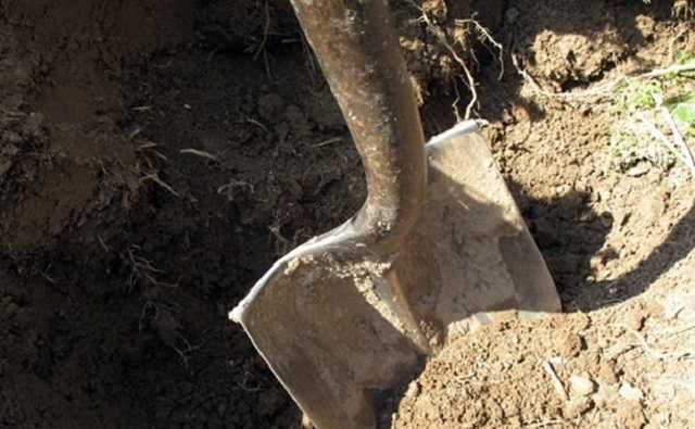 В Бердянске мать закопала новорожденного в огороде