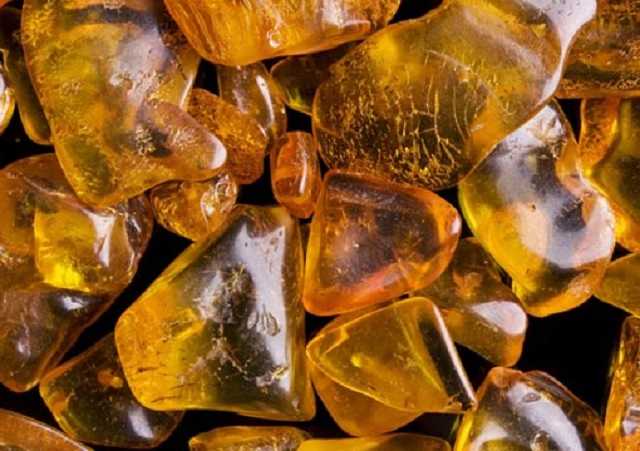 В Ровенской области двое молодых парней ограбили и убили скупщика янтаря