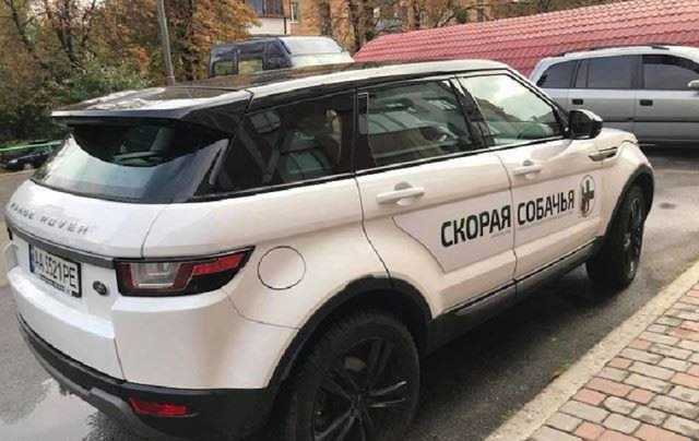 В Киеве появилась «скорая» для бездомных собак