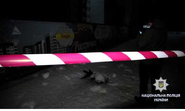 Опубликовано видео с места расстрела кавказцев в Харькове