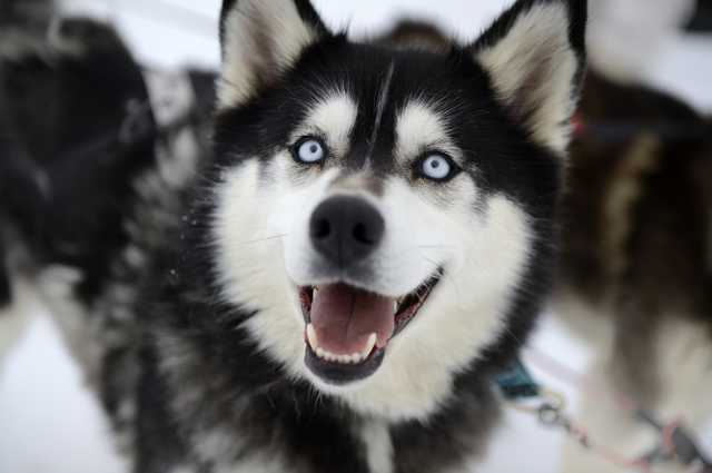 "Я - ученица 4-го класса": пост маленькой киевлянки вызвал фурор в сети