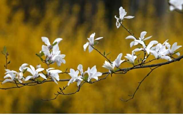 Погода на выходные: в Украине ожидается сильное потепление, местами пройдут дожди