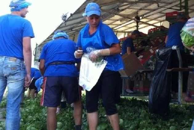 Работа в Польше: что нужно знать об украинских заробитчанах