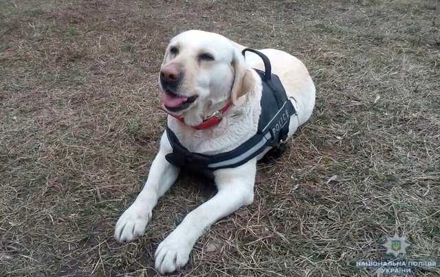 Гера нашла сбежавшего мальчика